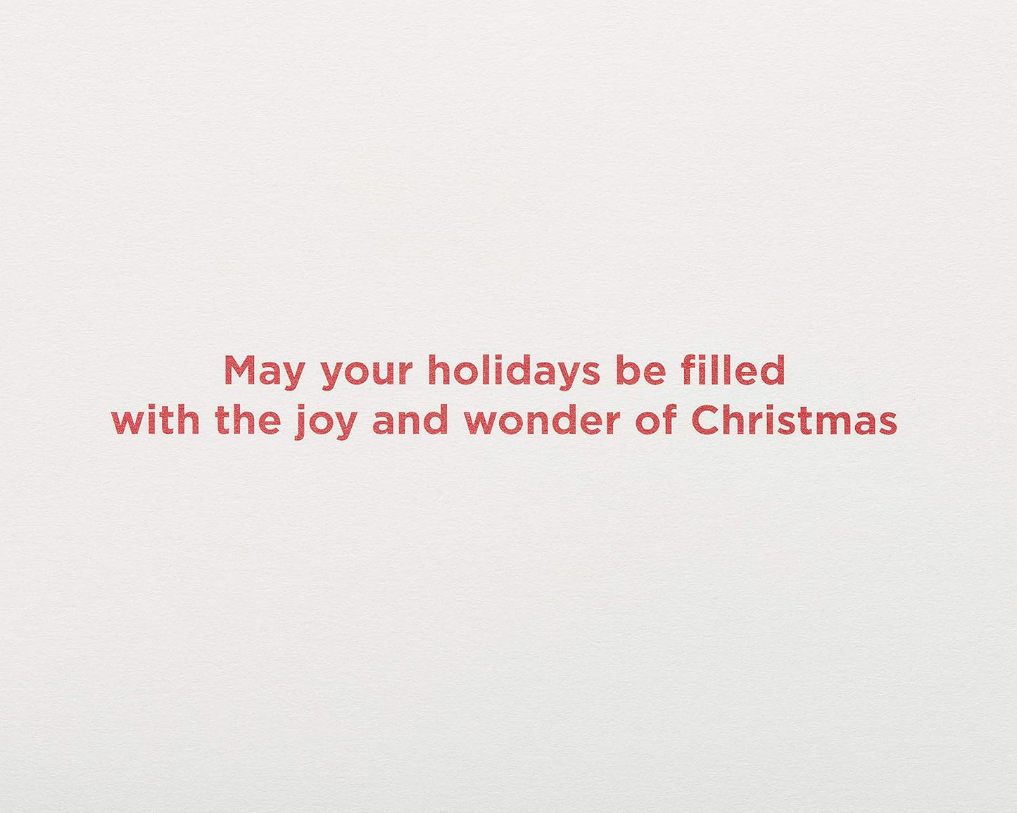 Christmas Cards Boxed with Envelopes, Joy and Wonder of Christmas, Santa Scene (14-Count)