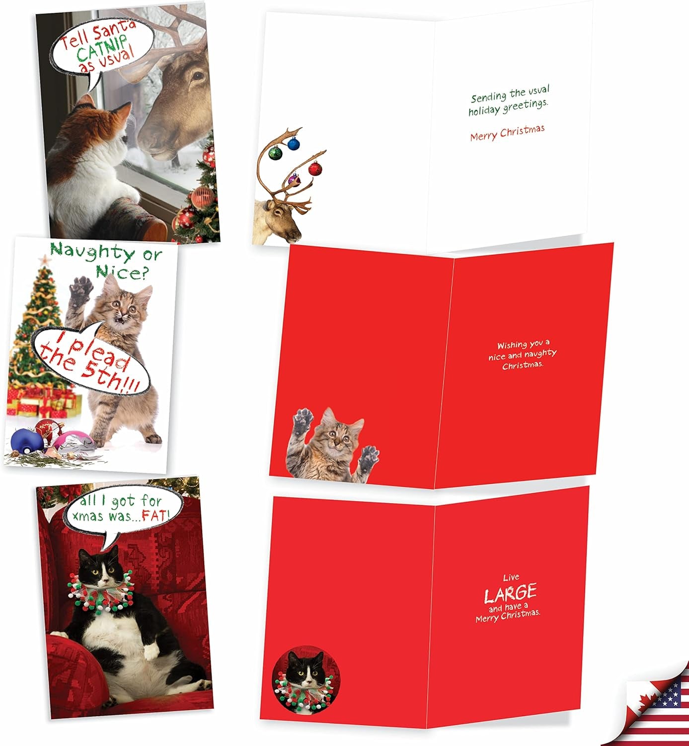 Variety Pack of 10 Funny Cats Christmas Greeting Cards with Envelopes, Kittens Humor Holiday Assortment for Men and Women - Petigreet Cat-Mass A1254