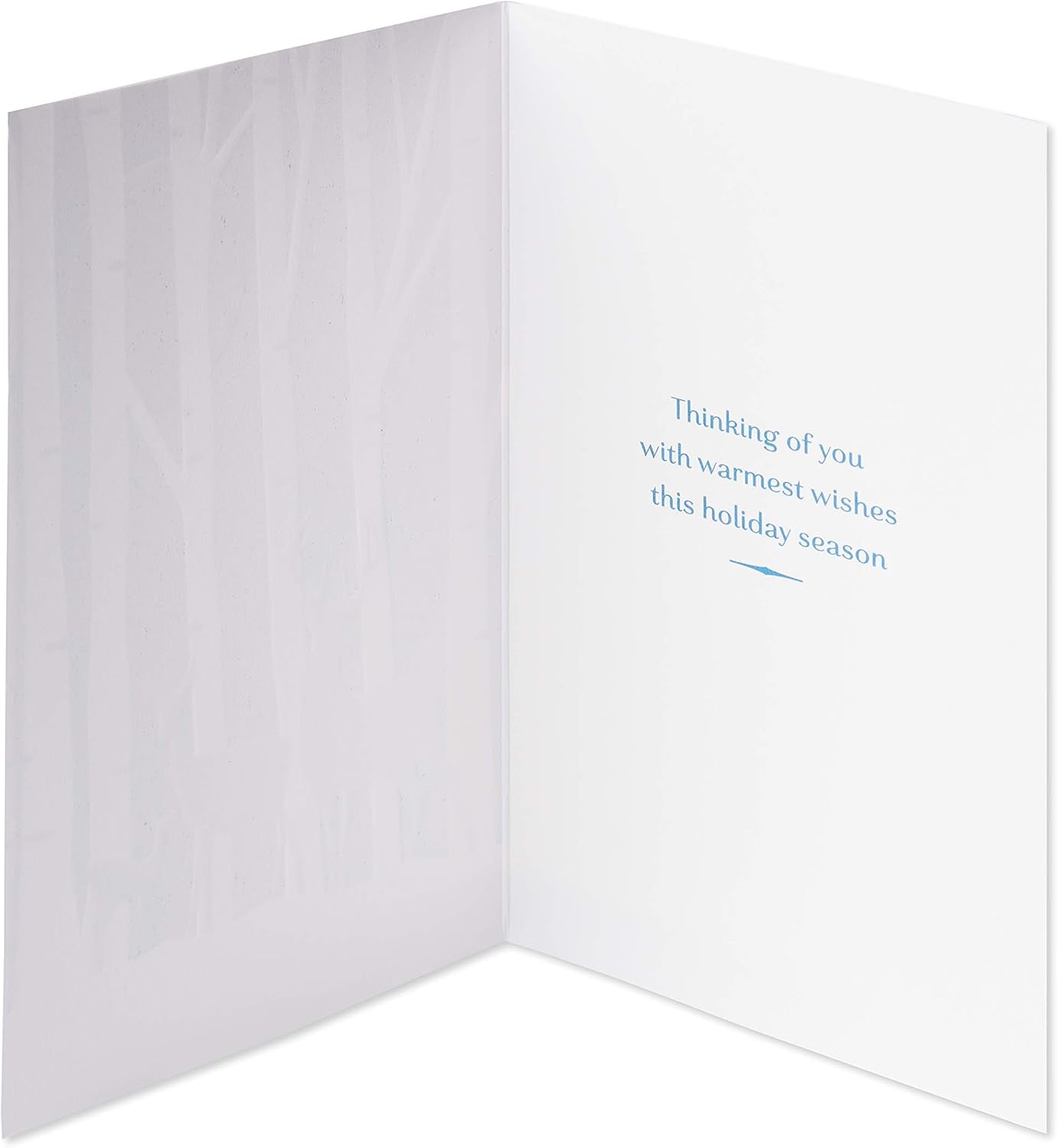 Holiday Cards Boxed with Envelopes, Thinking of You with Warmest Wishes, Deer (12-Count)