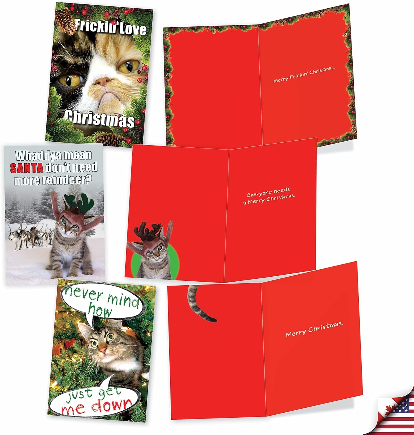 Variety Pack of 10 Funny Cats Christmas Greeting Cards with Envelopes, Kittens Humor Holiday Assortment for Men and Women - Petigreet Cat-Mass A1254