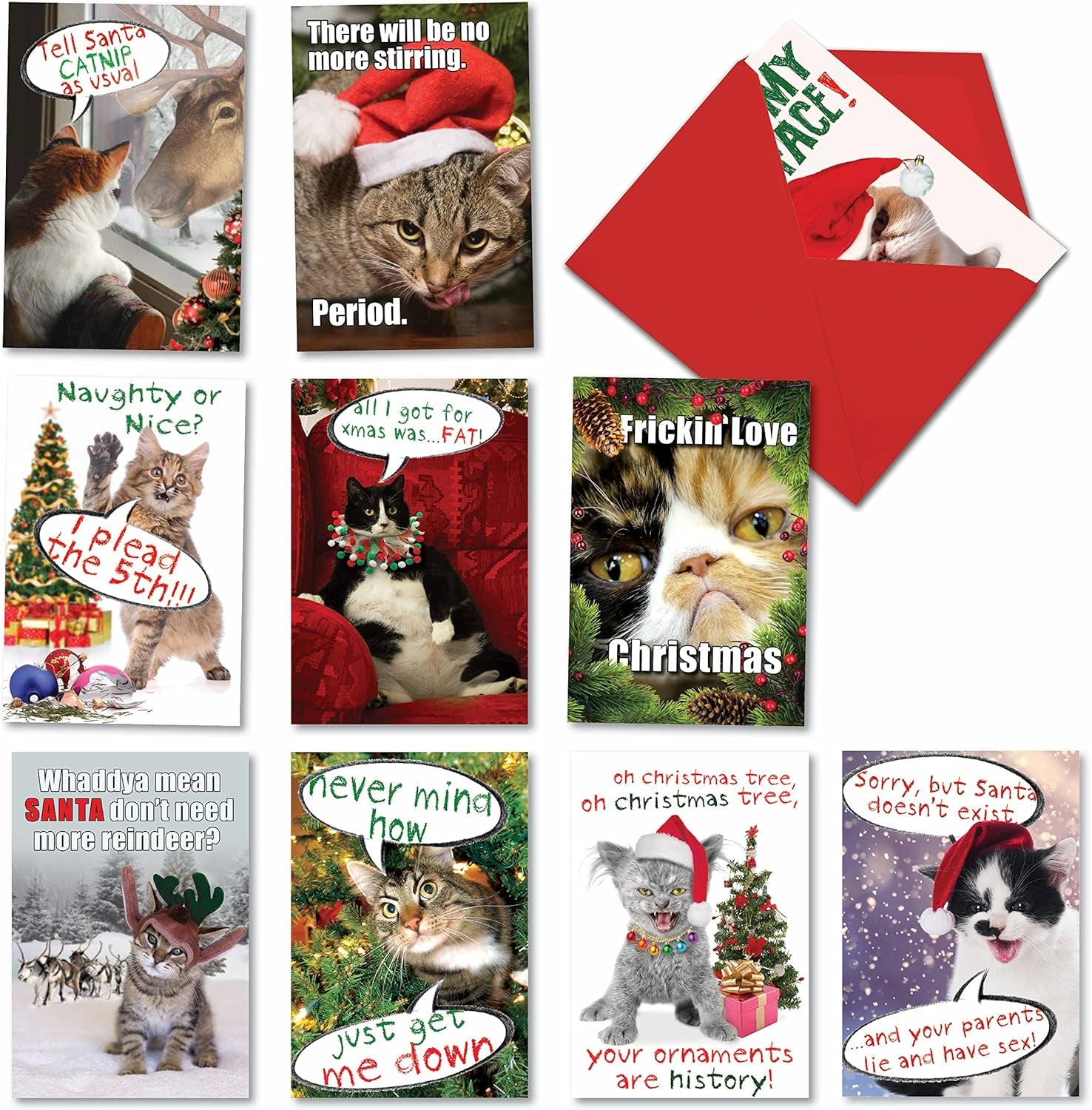Variety Pack of 10 Funny Cats Christmas Greeting Cards with Envelopes, Kittens Humor Holiday Assortment for Men and Women - Petigreet Cat-Mass A1254