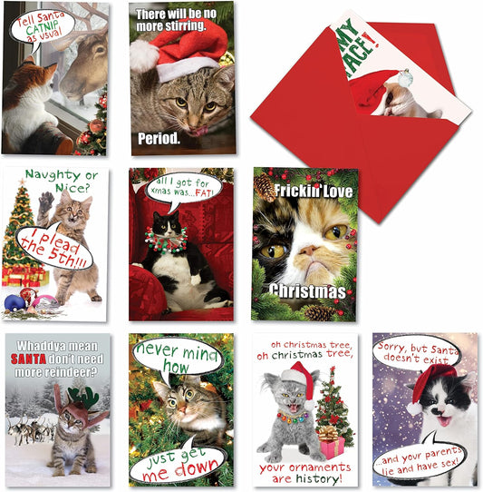 Variety Pack of 10 Funny Cats Christmas Greeting Cards with Envelopes, Kittens Humor Holiday Assortment for Men and Women - Petigreet Cat-Mass A1254