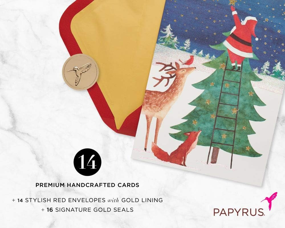 Christmas Cards Boxed with Envelopes, Joy and Wonder of Christmas, Santa Scene (14-Count)