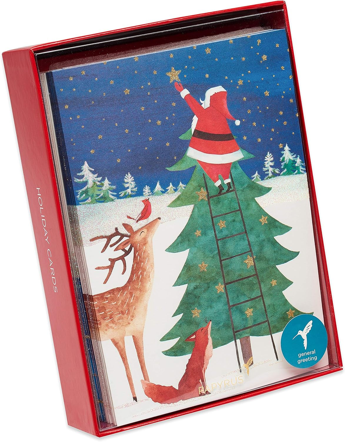 Christmas Cards Boxed with Envelopes, Joy and Wonder of Christmas, Santa Scene (14-Count)