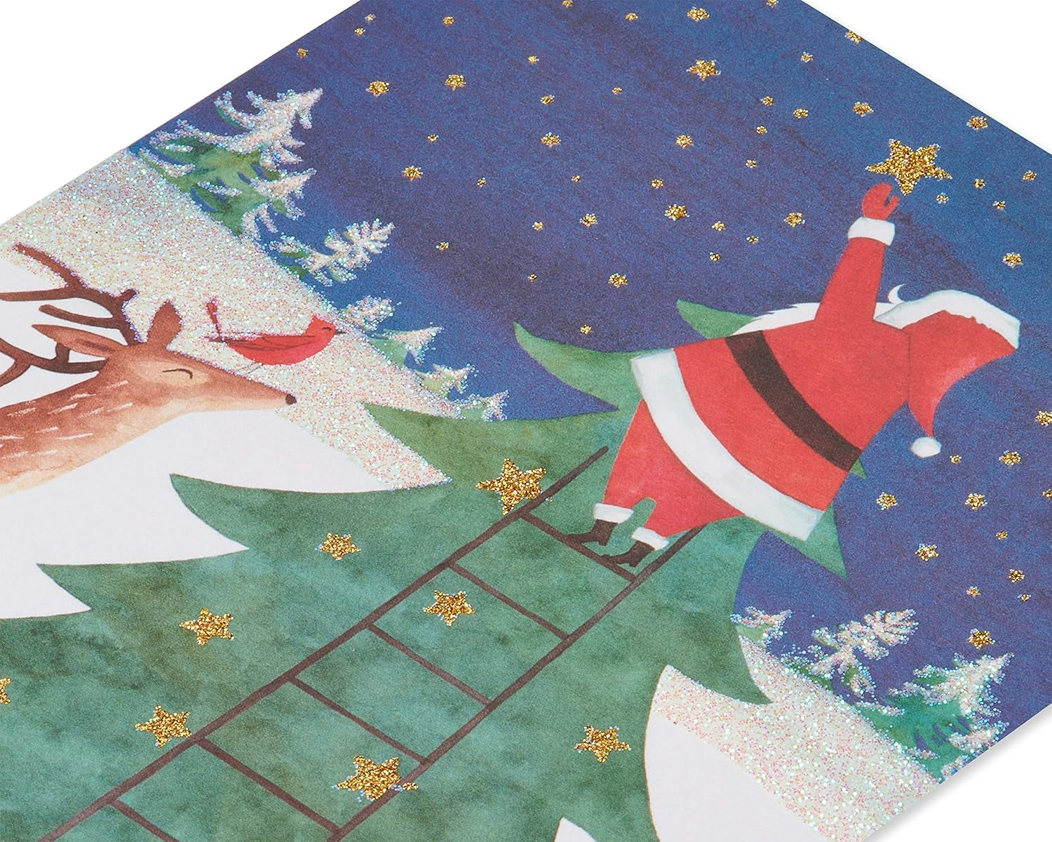 Christmas Cards Boxed with Envelopes, Joy and Wonder of Christmas, Santa Scene (14-Count)