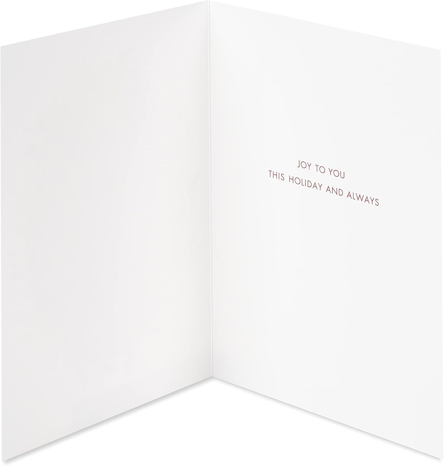 Boxed Christmas Cards with Envelopes, Joy to You, Wreath (20-Count)