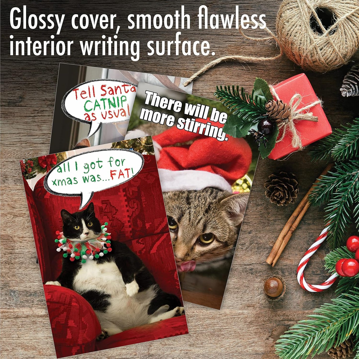 Variety Pack of 10 Funny Cats Christmas Greeting Cards with Envelopes, Kittens Humor Holiday Assortment for Men and Women - Petigreet Cat-Mass A1254