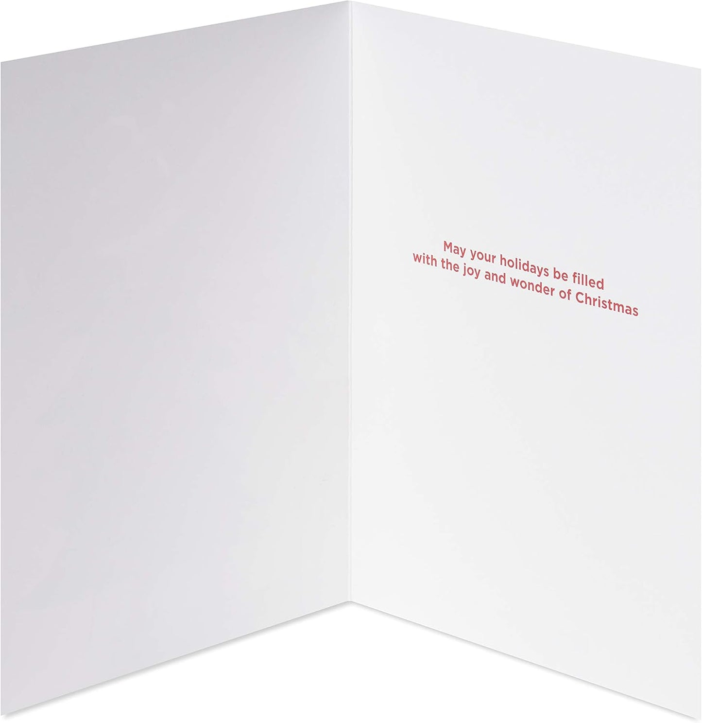 Christmas Cards Boxed with Envelopes, Joy and Wonder of Christmas, Santa Scene (14-Count)